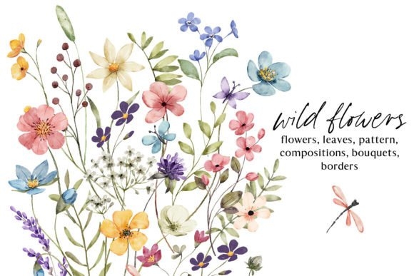 Wild Flowers, Butterflies and Dragonfly